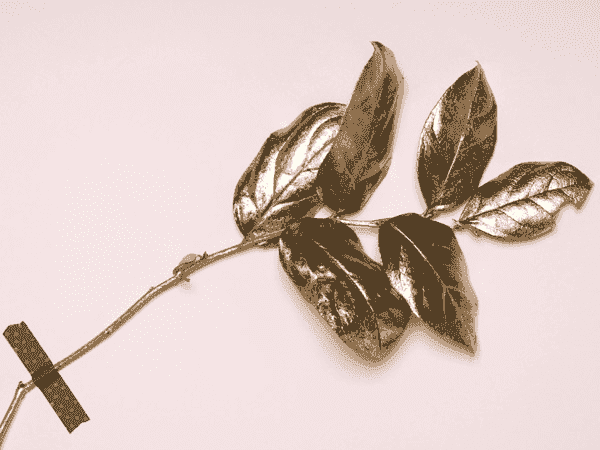 手机攻击器APP下载